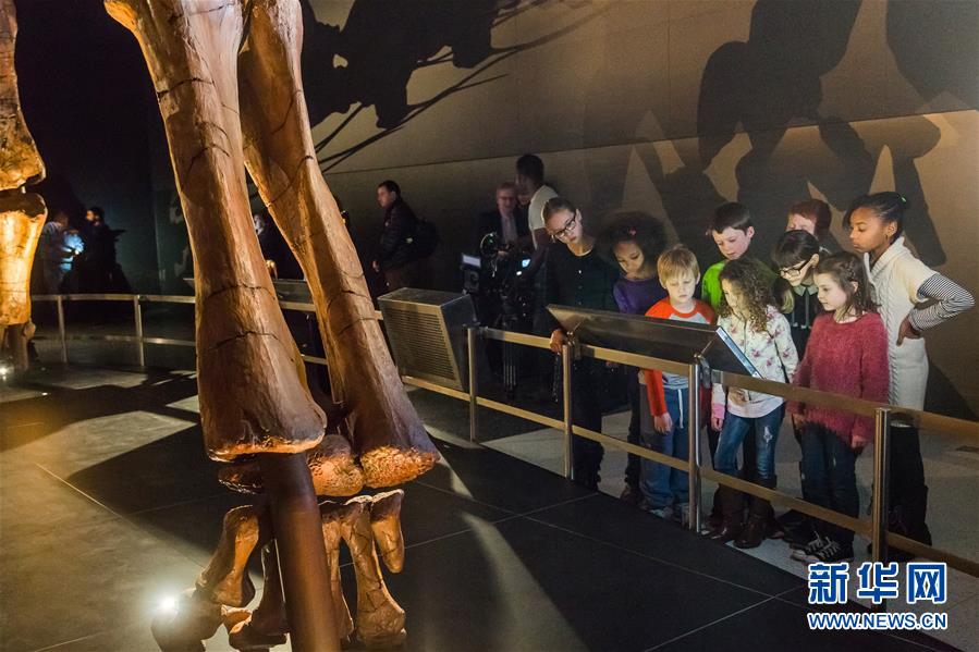 U.S.-NEW YORK-TITANOSAUR EXIBITION