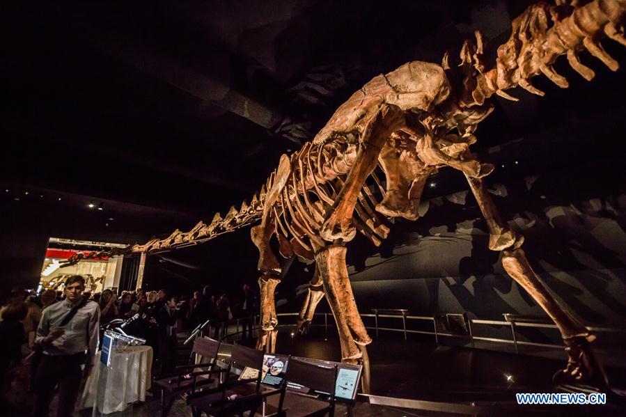 People visit the 'Titanosaur' skeleton exibition in the American Museum of Natural History in New York, the United States, Jan. 14, 2016. 