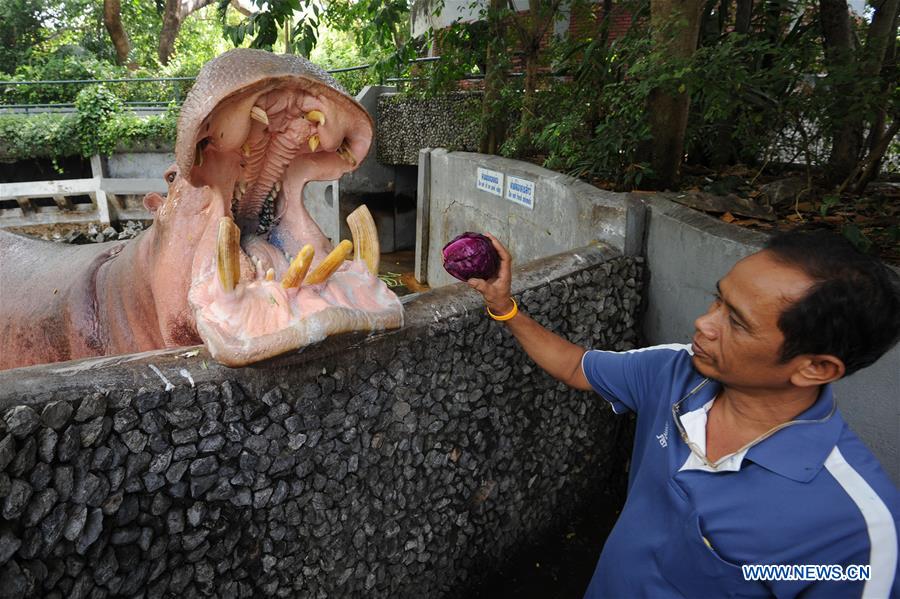 Children watch a hippopotamus at Dusit zoo in Bangkok, Thailand, Jan. 18, 2016. 