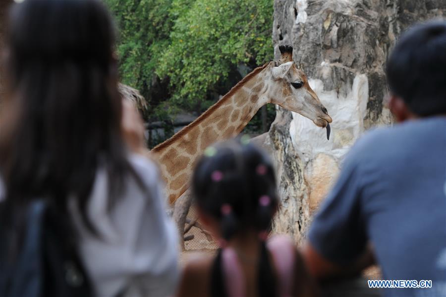 THAILAND-BANGKOK-ZOO