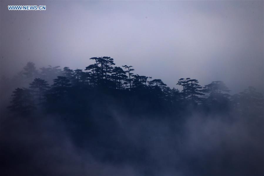 #CHINA-HUANGSHAN-SCENERY(CN)