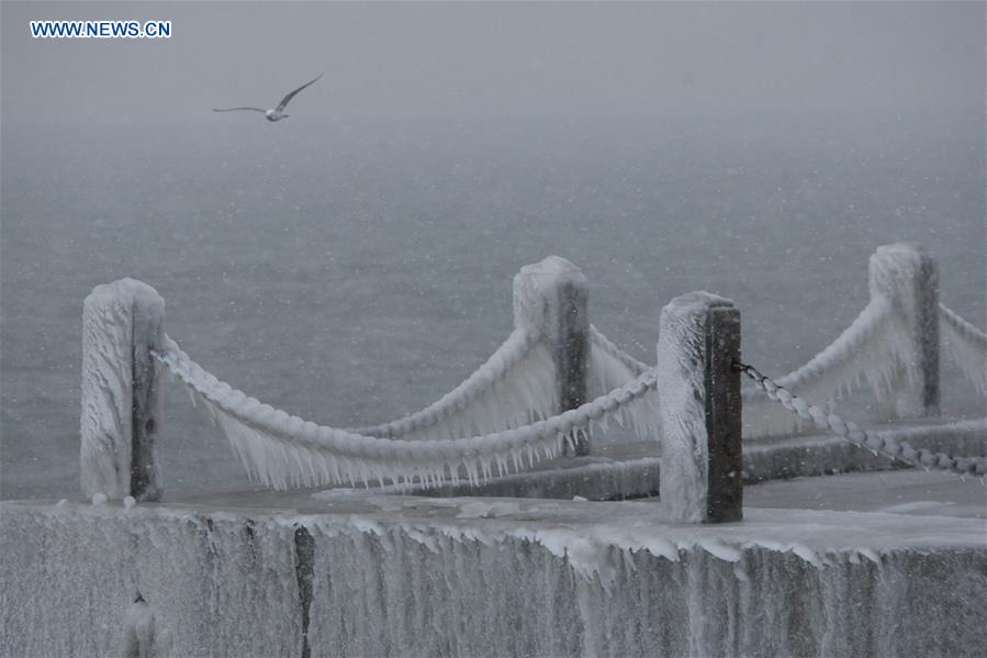 #CHINA-SHANDONG-YANTAI-ICICLES (CN)