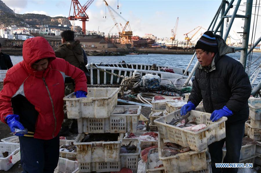 CHINA-SHANDONG-RONGCHENG-FISHERY (CN)