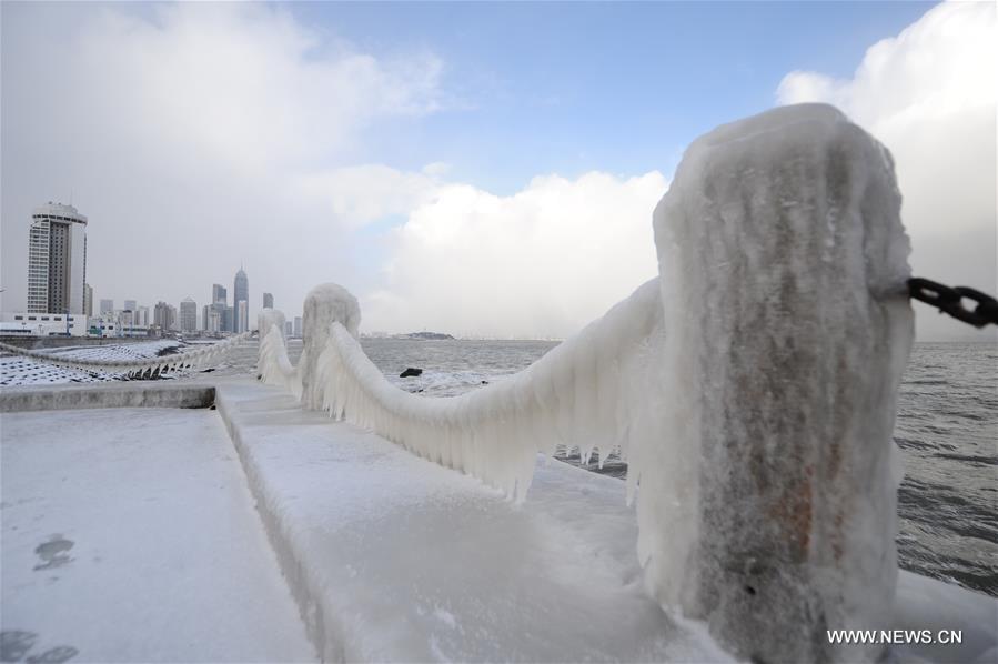 A cold front has transformed the coastal city to an ice world. 