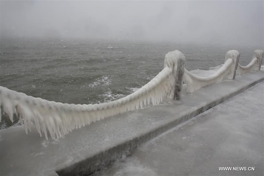 A cold front has transformed the coastal city to an ice world. 