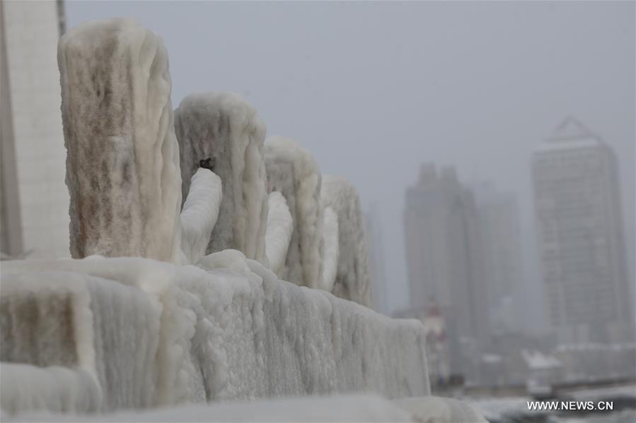 A cold front has transformed the coastal city to an ice world. 