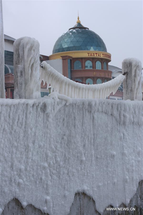 A cold front has transformed the coastal city to an ice world. 