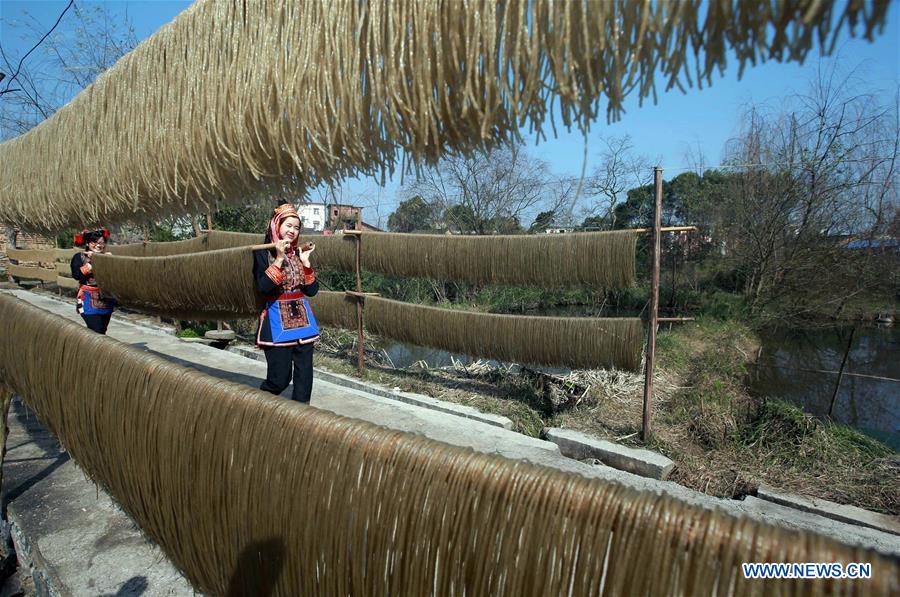 Residents carry sweet potato vermicelli to the drying feild at Qingxiang Village of Xinjie Town in Guilin City, a tourist resort in southwest China's Guangxi Zhuang Autonomous Region, Jan. 19, 2016. 