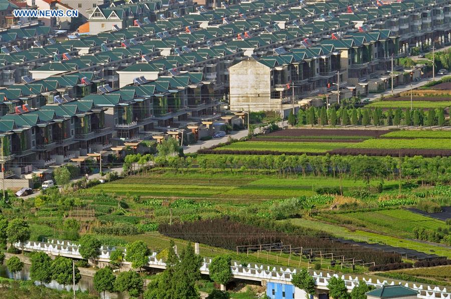 CHINA-ZHEJIANG-FARMERS-INCOME (CN)