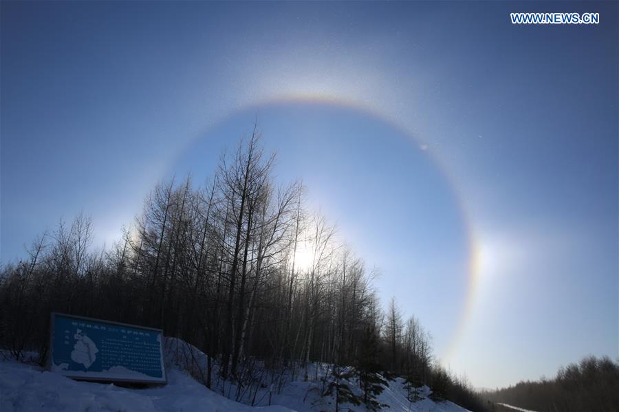 Photo taken on Jan. 22, 2016 shows a view of solar halo over Jinhe Township, Genhe City, Inner Mongolia Autonomous Region. 