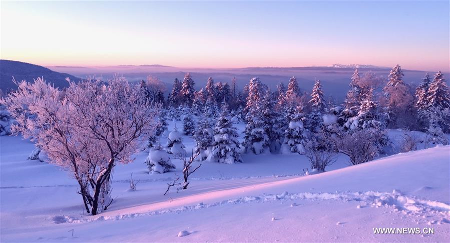 #CHINA-JILIN-YANBIAN-RIME SCENERY (CN)