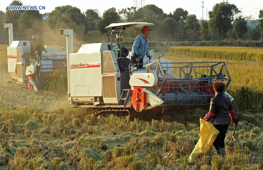 CHINA-ZHEJIANG-FARMERS-INCOME (CN)