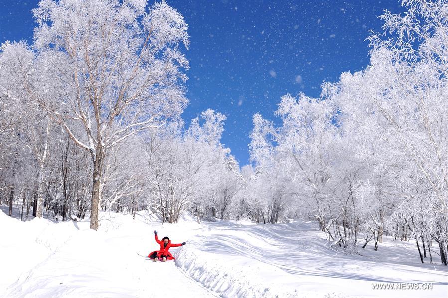 #CHINA-JILIN-YANBIAN-RIME SCENERY (CN)