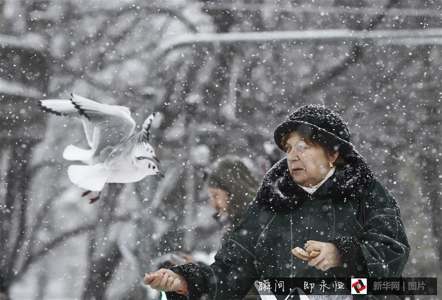 （国际·编辑连线）（7）那么冷，那么美！