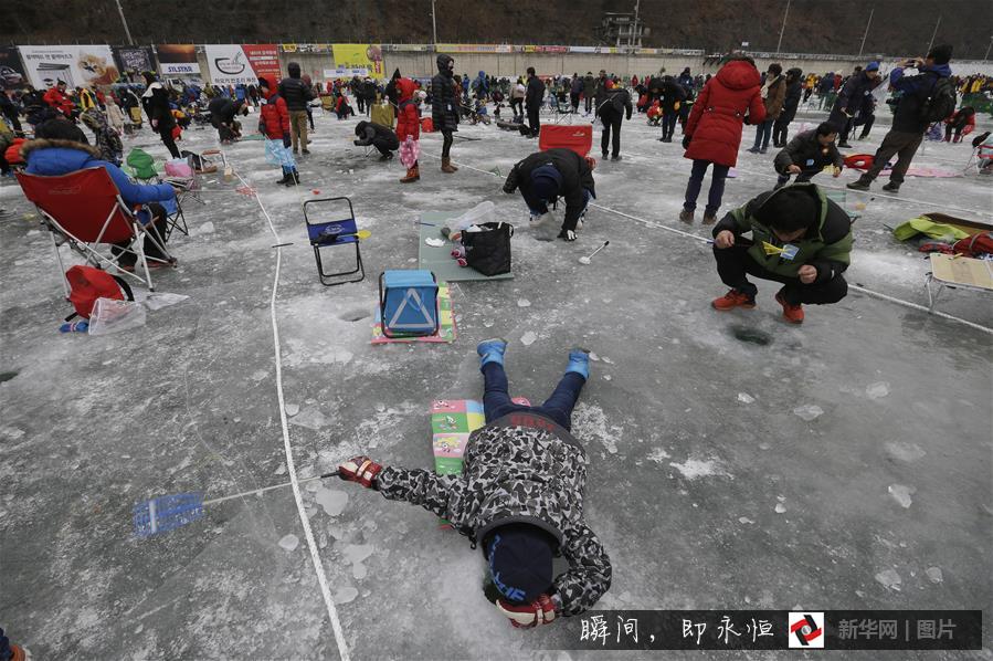 （国际·编辑连线）（16）那么冷，那么美！