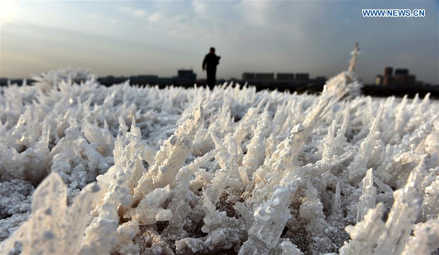 Photo taken on Jan. 19, 2016 shows the scenery of mirabilite rime on the Salt Lake in Yuncheng, north China's Shanxi Province.