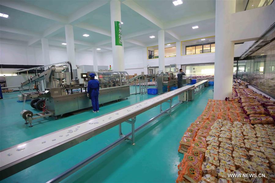 Photo provided by Korean Central News Agency (KCNA) on Jan. 23, 2016 shows top leader of the Democratic People's Republic of Korea (DPRK) Kim Jong Un (C) recently visiting the Kumkop General Foodstuff Factory for Sportsmen