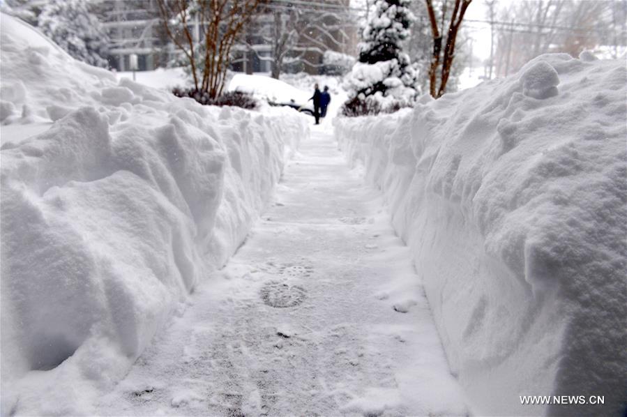 The New York metropolitan region is being pummeled by a massive blizzard, forcing Gov. Andrew Cuomo to issue a travel ban that impacts roads and railways