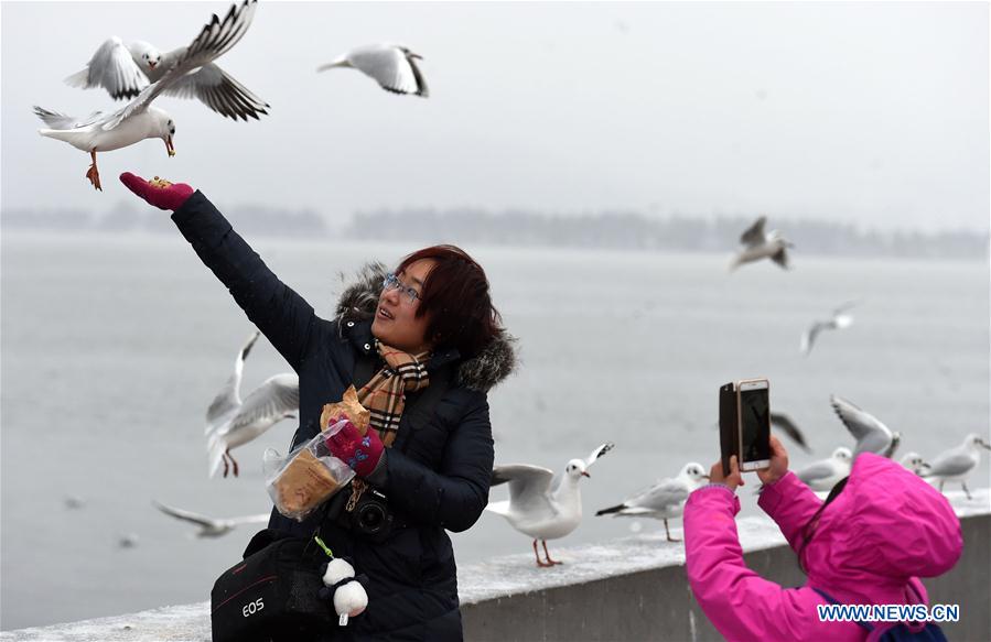CHINA-KUNMING-SNOWFALL (CN) 
