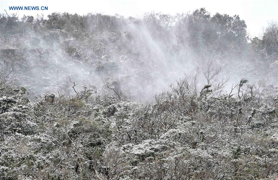 CHINA-TAIPEI-COLD WAVE (CN)