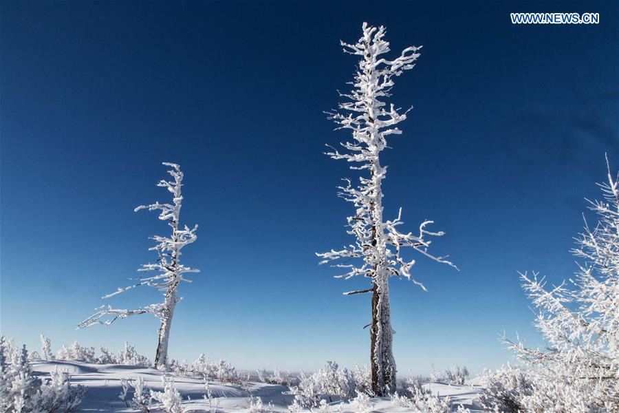 Photo taken on Jan. 10, 2016, shows winter scenery of Bailang Mountain in Arxan City of Hinggan League, north China's Inner Mongolia Autonomous Region.