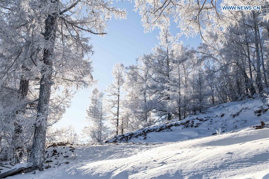 Photo taken on Jan. 10, 2016, shows winter scenery of Bailang Mountain in Arxan City of Hinggan League, north China's Inner Mongolia Autonomous Region.