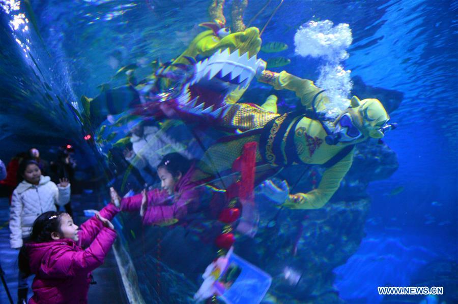 #CHINA-TIANJIN-UNDERWATER DRAGON DANCE (CN)
