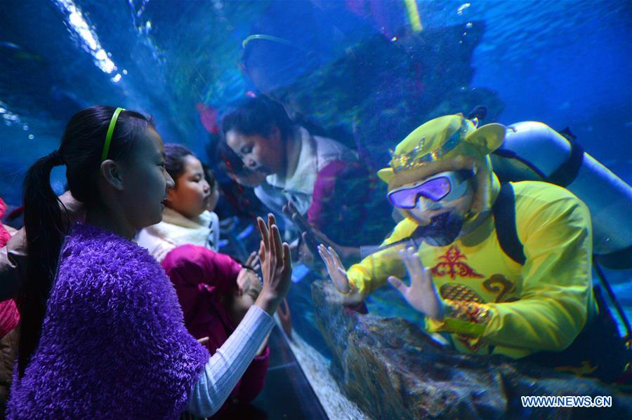 #CHINA-TIANJIN-UNDERWATER DRAGON DANCE (CN)