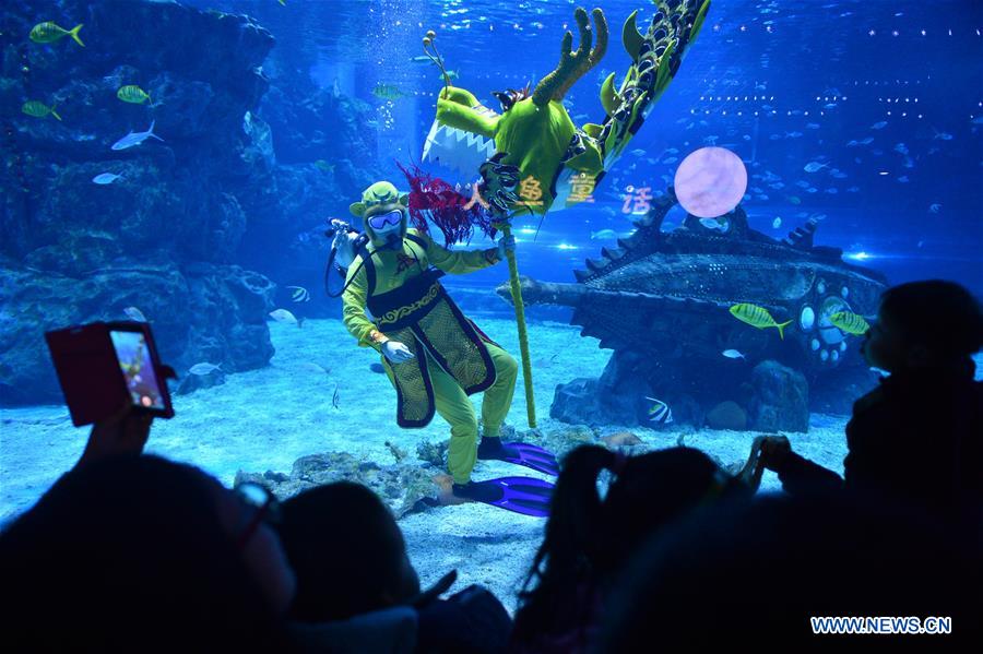 #CHINA-TIANJIN-UNDERWATER DRAGON DANCE (CN)
