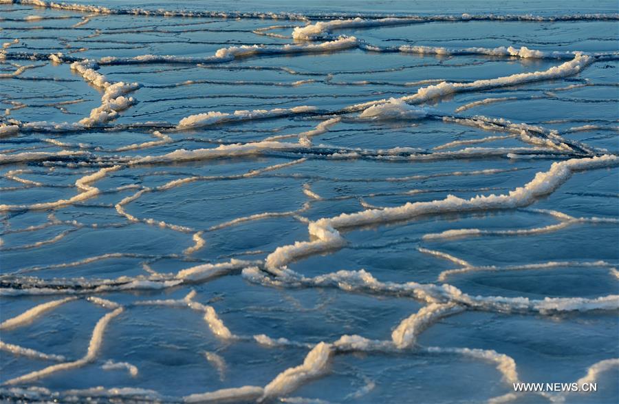 Due to a strong cold front, sea ice appeared along the seaside at Bohai Sea coast in Qinhuangdao.