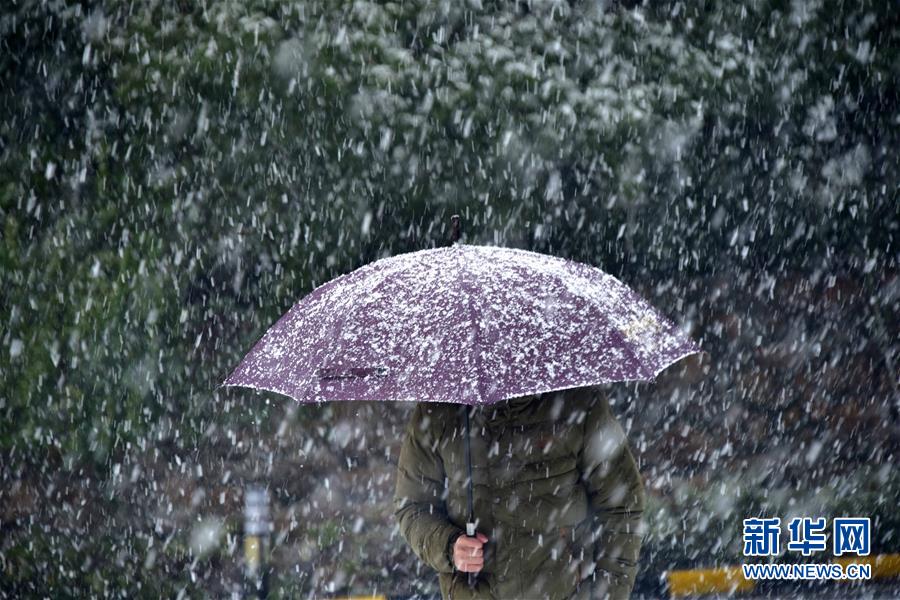 （生态）（2）武汉迎来新一轮降雪