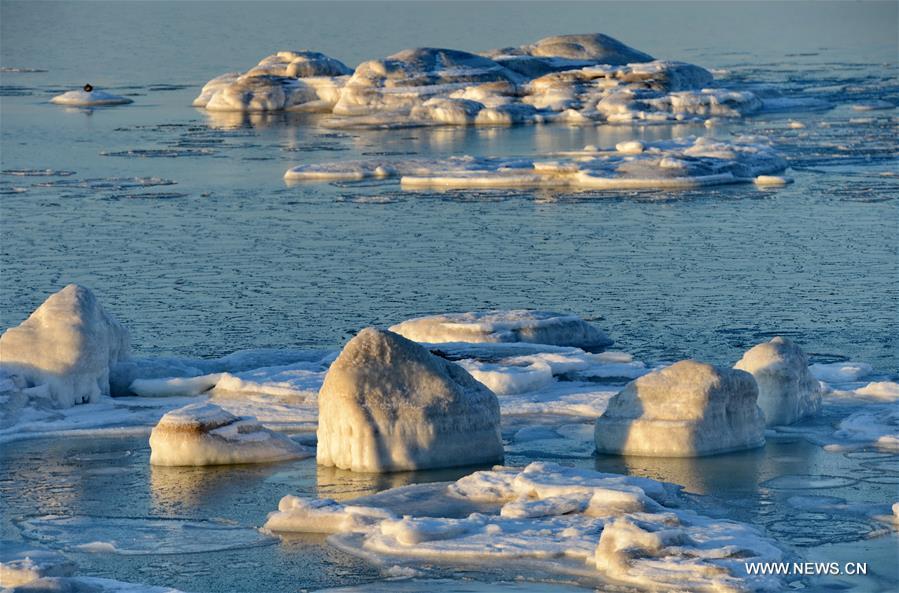 Due to a strong cold front, sea ice appeared along the seaside at Bohai Sea coast in Qinhuangdao.
