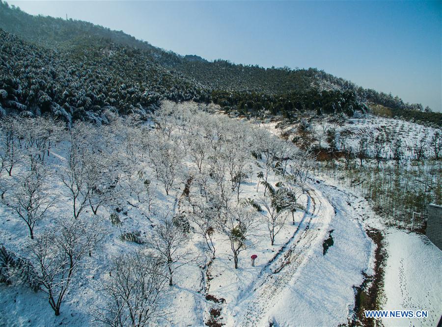 Photo taken on Feb. 2, 2016 shows the Lingfeng scenic spot after a snowfall in Anji County, east China's Zhejiang Province. A snowfall hit the county from Jan. 31.