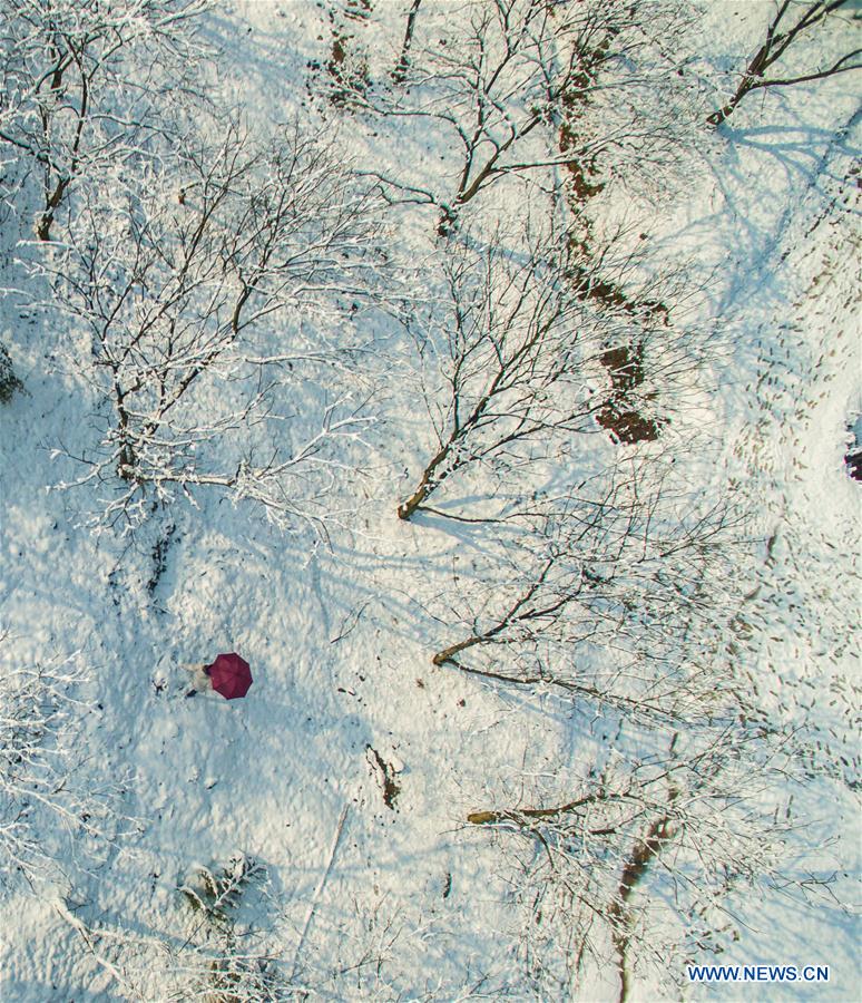 Photo taken on Feb. 2, 2016 shows the Lingfeng scenic spot after a snowfall in Anji County, east China's Zhejiang Province. A snowfall hit the county from Jan. 31.