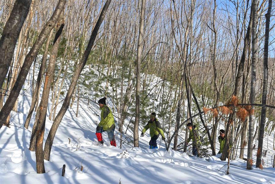 CHINA-JILIN-HUNCHUN-RANGER(CN)