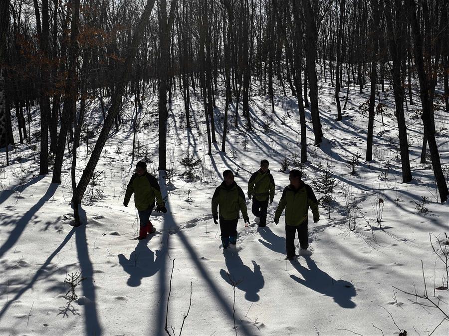 CHINA-JILIN-HUNCHUN-RANGER(CN)