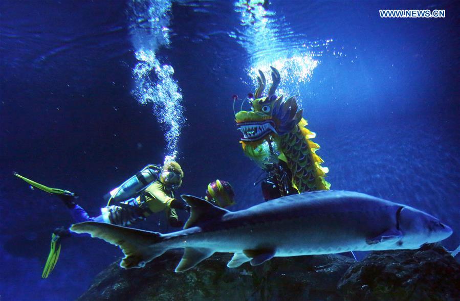 CHINA-BEIJING-AQUARIUM(CN)