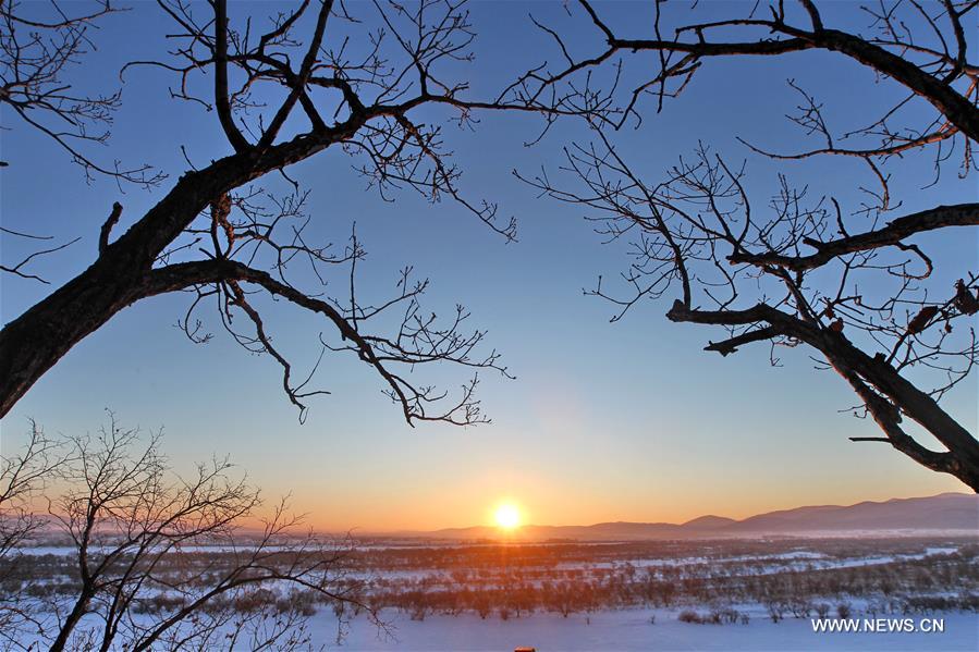 WEEKLY CHOICES OF XINHUA PHOTOS