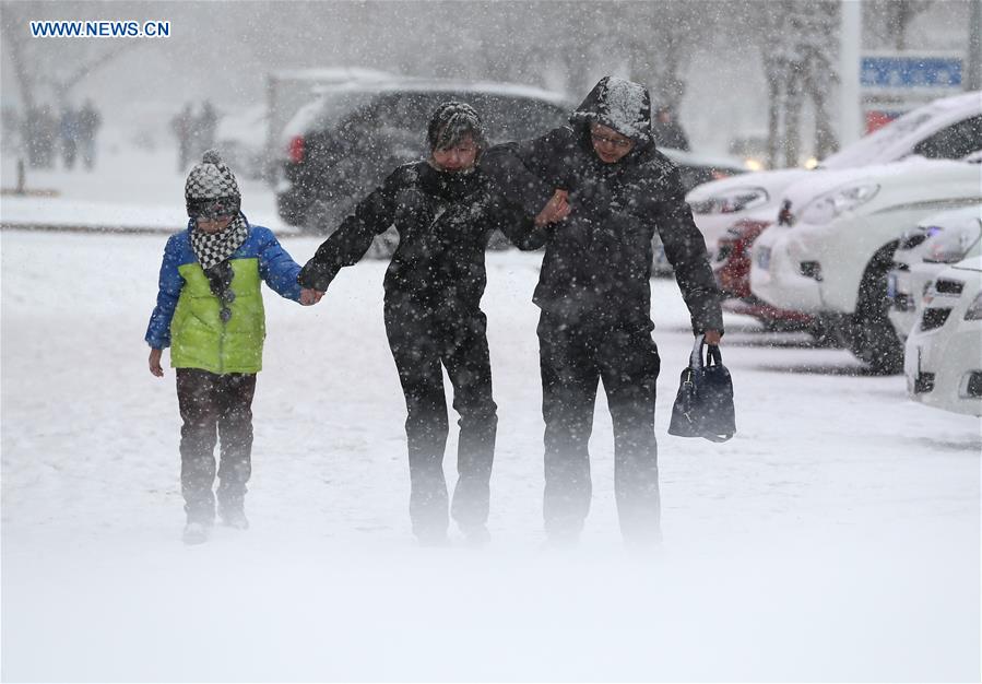 #CHINA-XINJIANG-ALTAY-SNOWFALL (CN)