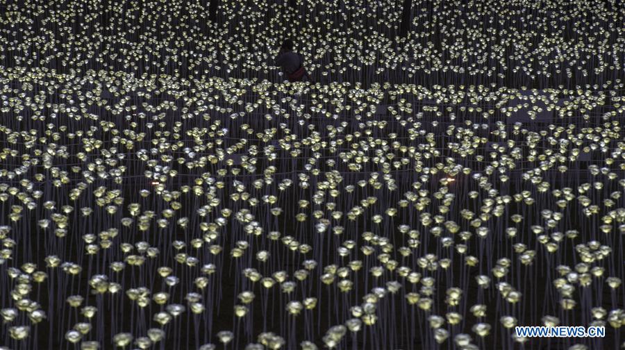 A citizen walks among the LED Rose Garden in Hong Kong, south China, Feb. 13, 2016.