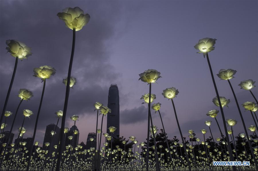 The LED Rose Garden is seen in Hong Kong, south China, Feb. 13, 2016. 