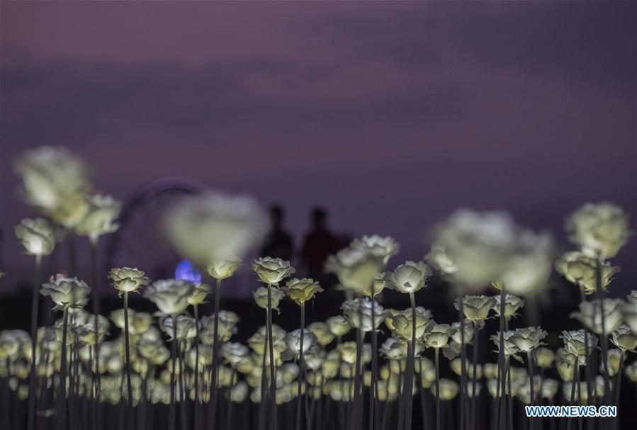 Citizens walk among the LED Rose Garden in Hong Kong, south China, Feb. 13, 2016. 