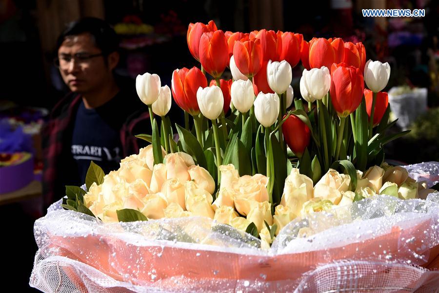 CHINA-YUNNAN-KUNMING-FLOWERS (CN)