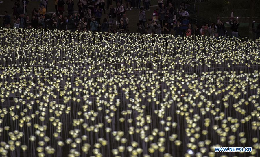 Citizens walk among the LED Rose Garden in Hong Kong, south China, Feb. 13, 2016. 