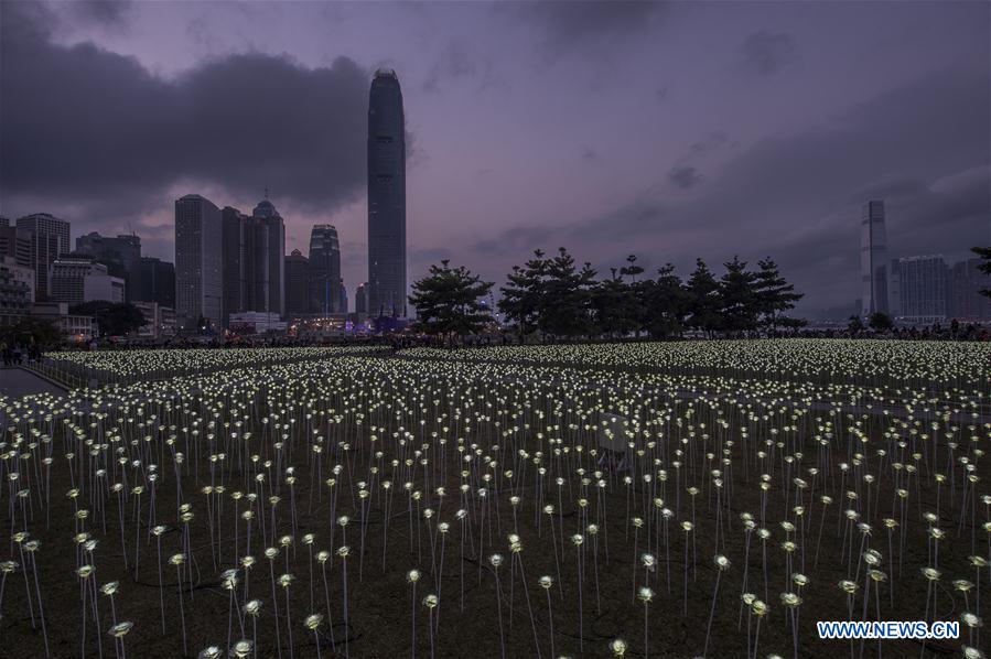 The LED Rose Garden is seen in Hong Kong, south China, Feb. 13, 2016. 