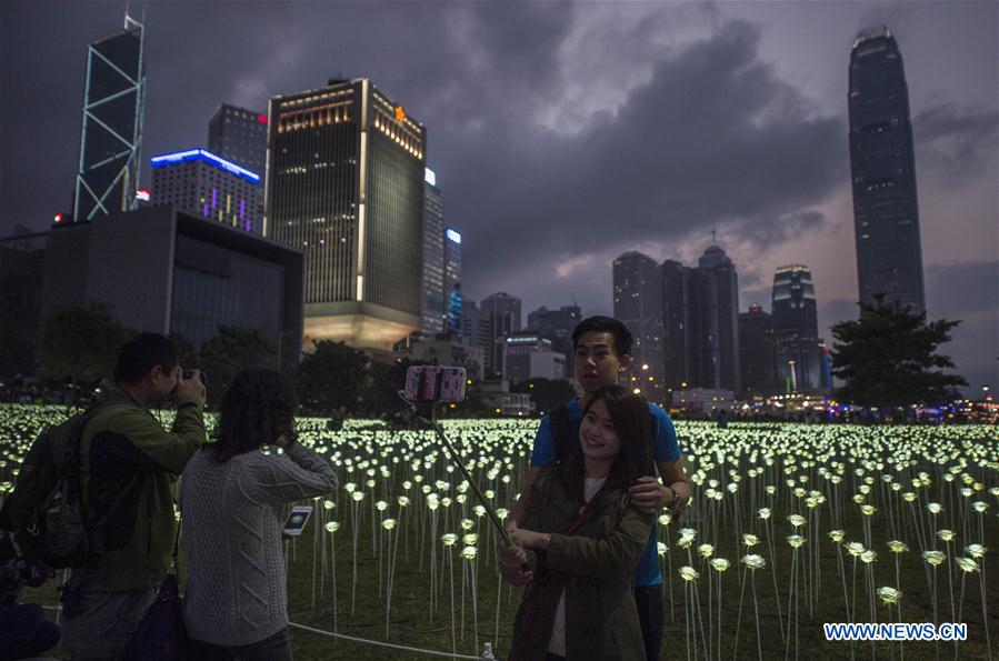 Citizens walk among the LED Rose Garden in Hong Kong, south China, Feb. 13, 2016.