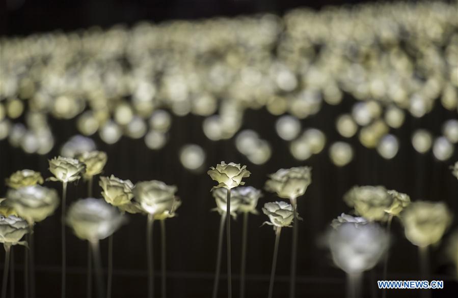 The LED Rose Garden is seen in Hong Kong, south China, Feb. 13, 2016.