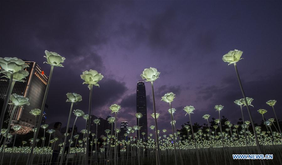 The LED Rose Garden is seen in Hong Kong, south China, Feb. 13, 2016. 