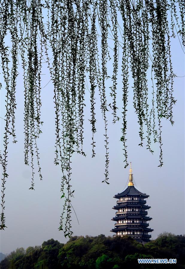 CHINA-ANCIENT PAGODAS (CN)