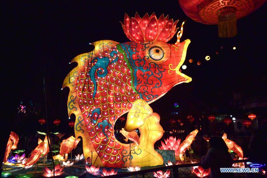 CHINA-JINAN-COLORED LANTERNS (CN)